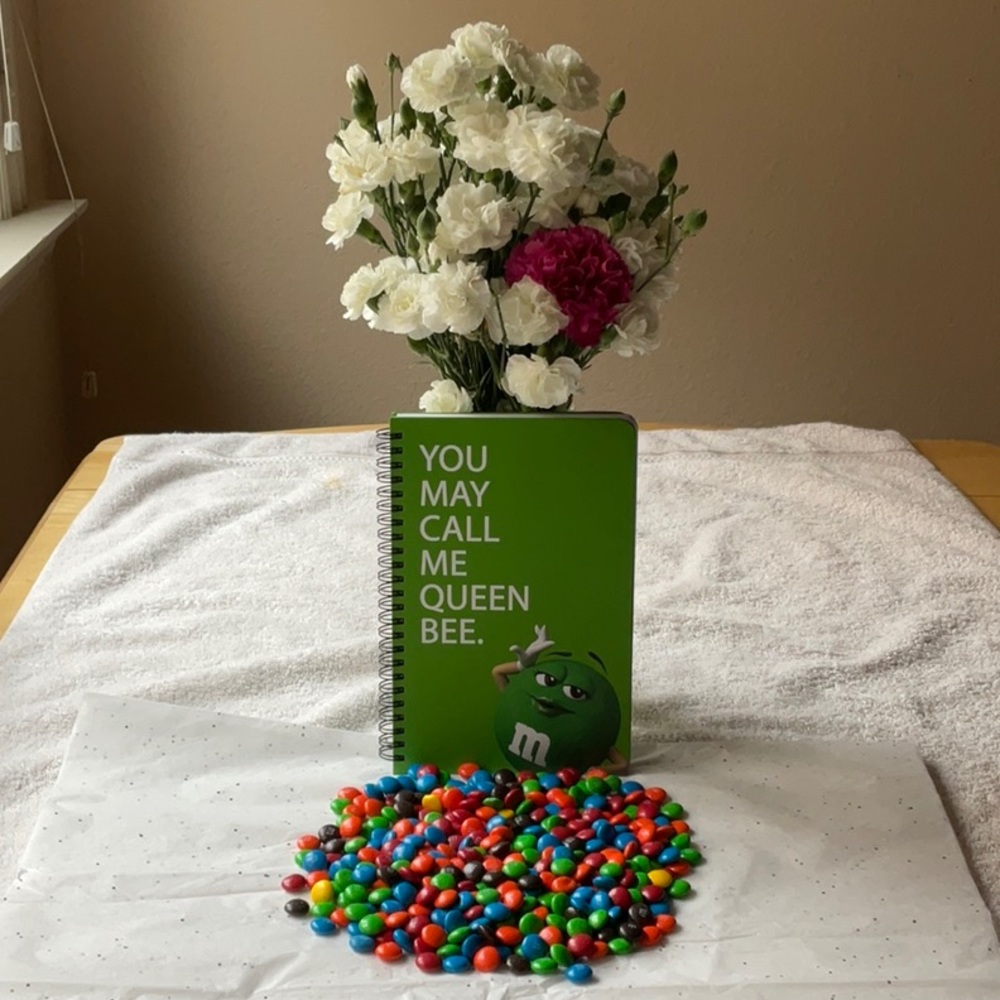 📗💙 M&M’S NOTEBOOK 📗💙 - Picture 9 of 16